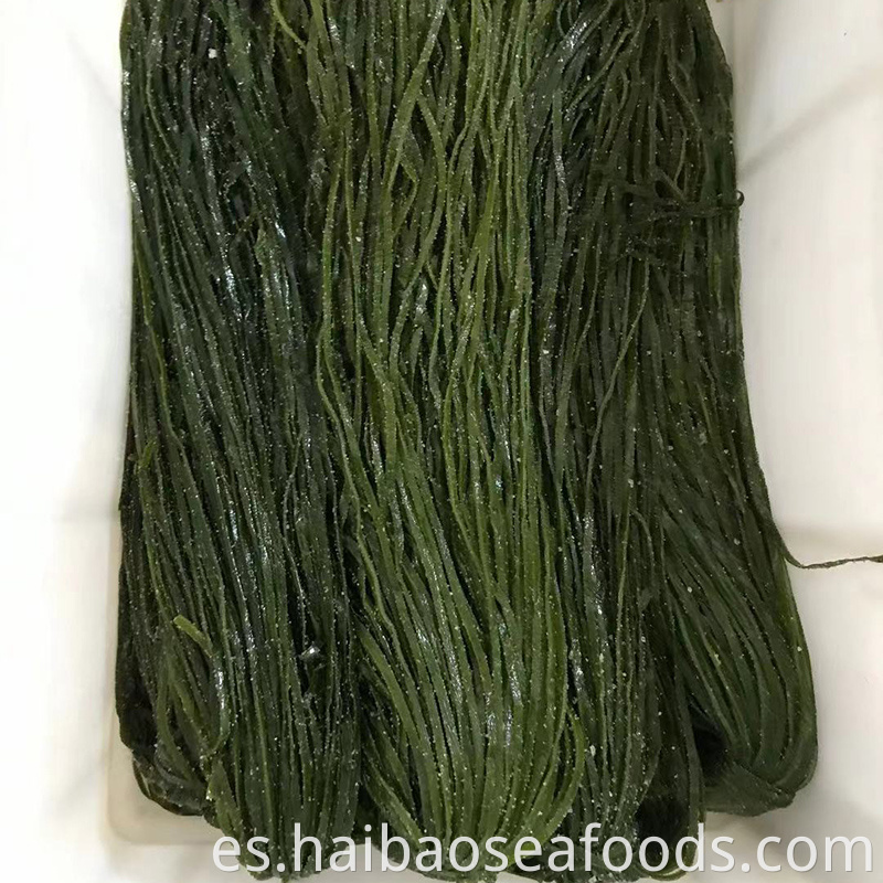 Frozen Seaweeds Salted Kelp